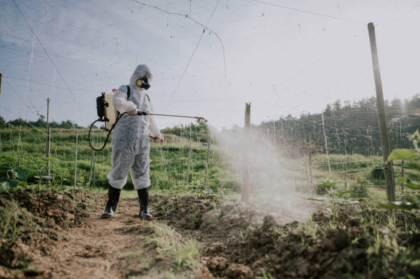 Best Ant Control Services  in North Platte, NE