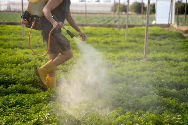 Best Pest Removal Services  in North Platte, NE