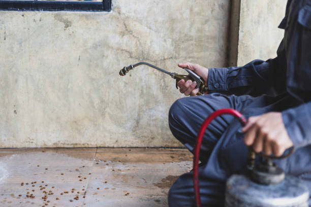 Best Wasp Removal Services  in North Platte, NE